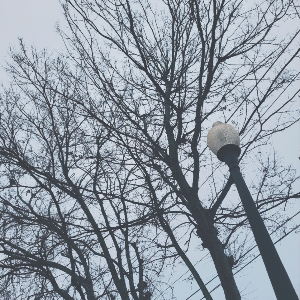 ✨️Hello! ✨️ - Picture 3 of 5